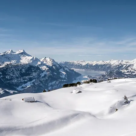 Bergzauber Engelhorn